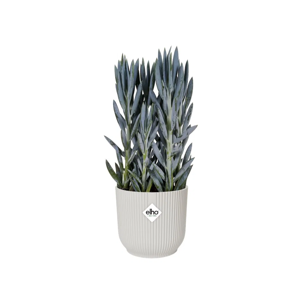 Elho Vibes Fold Round Wheels 35cm Vasi per Piante - Silky White | ∅ 34.9 x A 32.4 cm | Adatto per uso interno | Plastica riciclata al 100%
