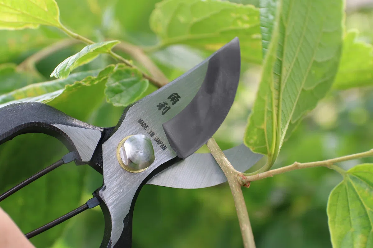KAKURI Forbici da potatura giapponesi per giardinaggio resistenti, 20,3 cm, realizzate in Giappone, potatori professionali da giardino con guaina in pelle, forgiato a mano, acciaio al carbonio