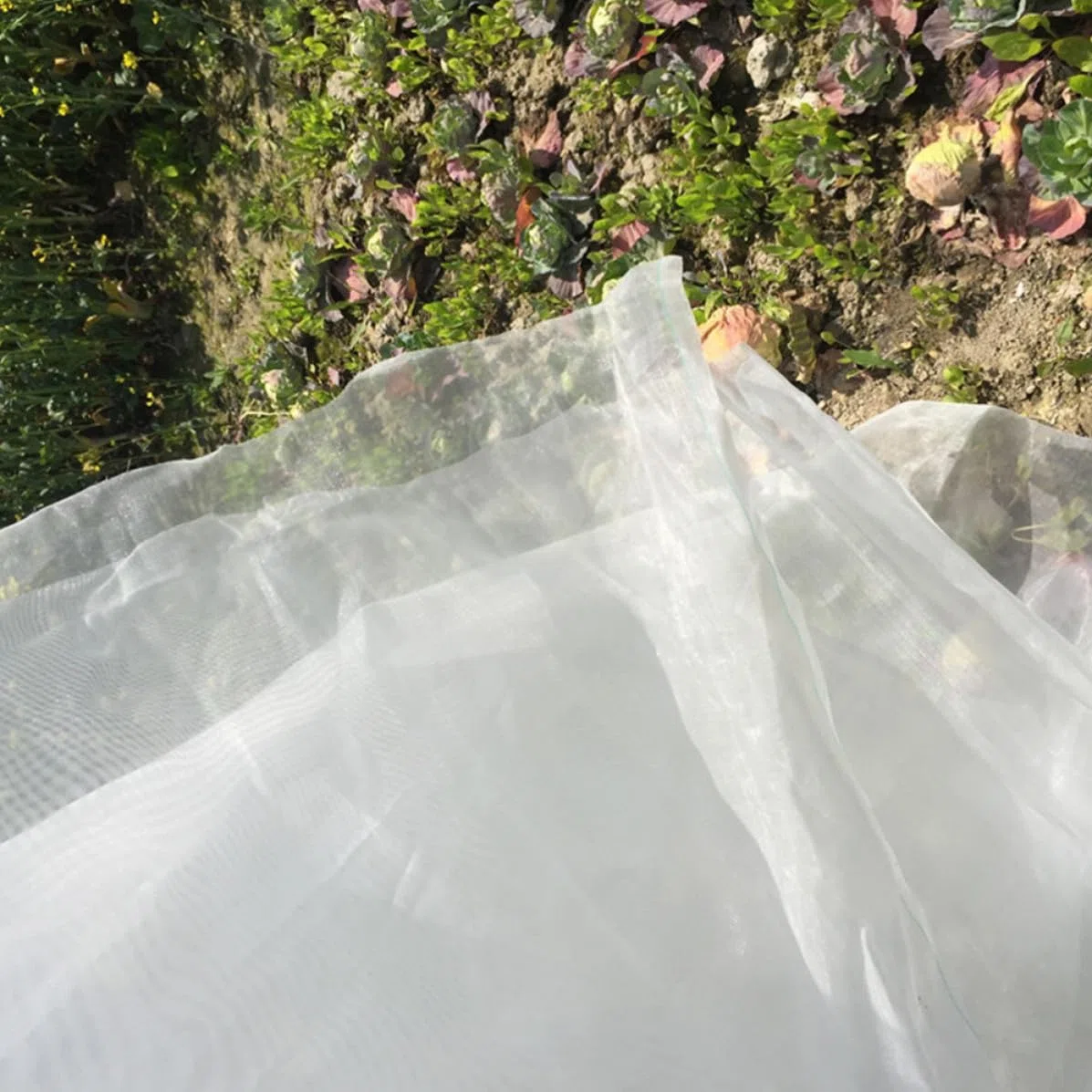 Rete in Nylon per Giardino 1 Rotolo Maglia 40 Mesh Rete Separazione Protezione da Insetti per Ortaggi e Prodotti Agricoli Resistente al Gelo per Serra e Giorni Freddi