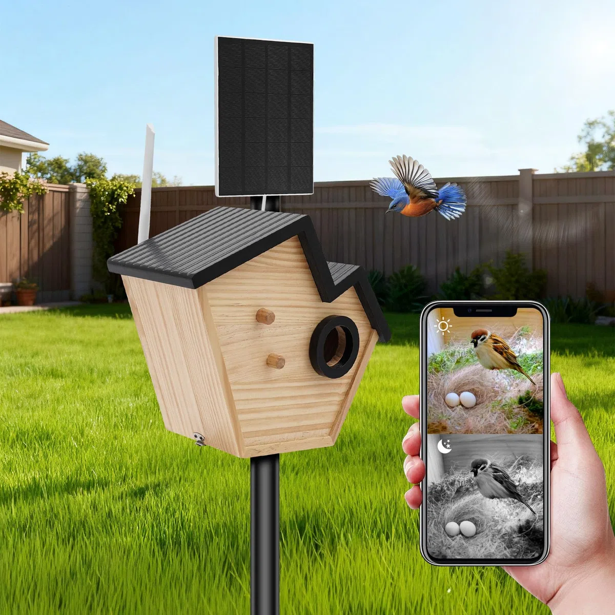 Casetta per uccelli con telecamera e pannello solare, nidificatore con rilevamento di uccelli KI, IP65 resistente alle intemperie, batteria da 4400 mAh, per giardino e balcone