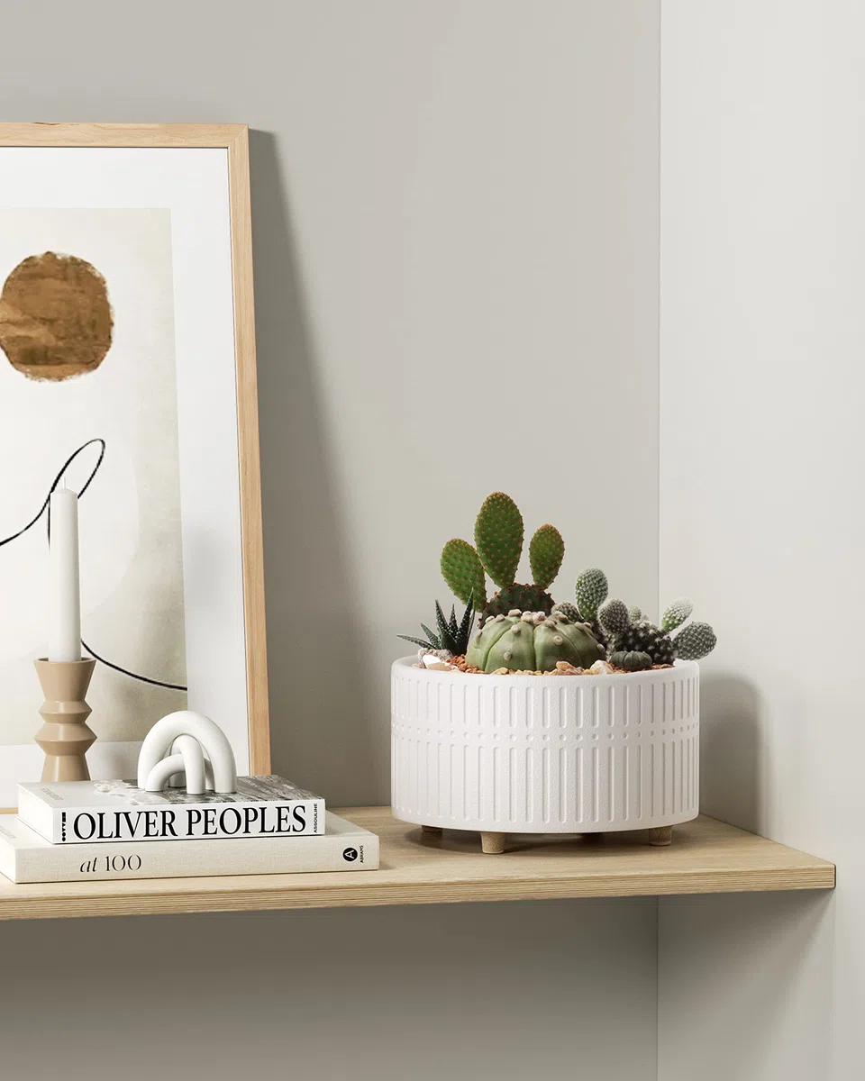 LE TAUCI Vasi per Piante Grasse, 16.5+20 cm Vasi per Piante da interno in Ceramica con Foro di Drenaggio, Fioriere da Balcone Bassi Rotondi per Piante Grasse, Set di 2, Bianco