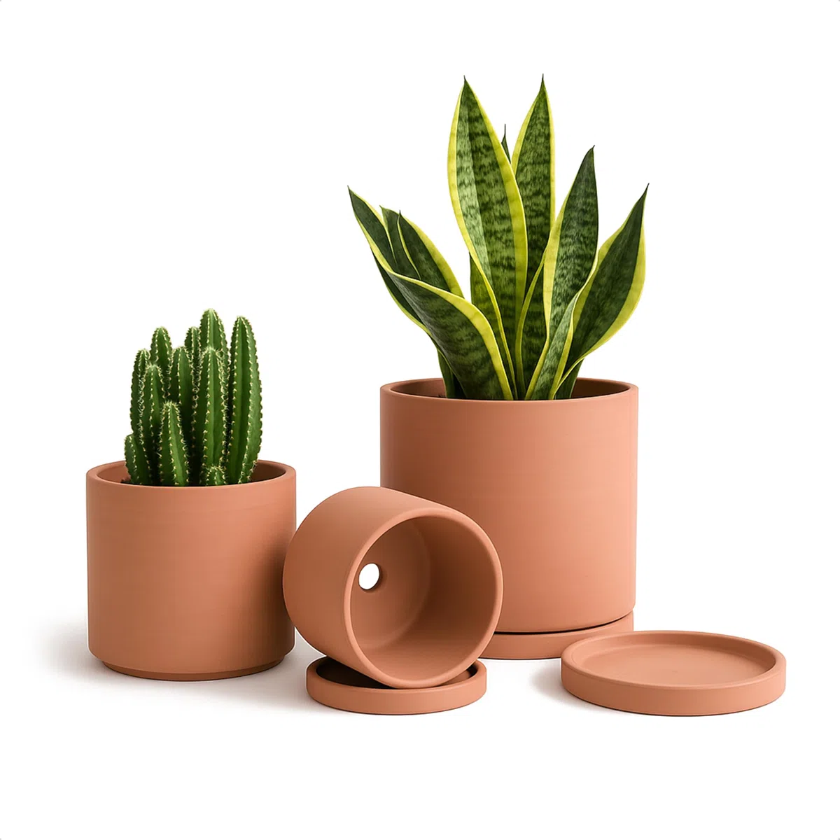 D'vine Dev Vasi in terracotta per piante, 10,7 cm, 14,5 cm, 14,5 cm, vaso per piante grasse con drenaggio e piattino, 40-A-T-1