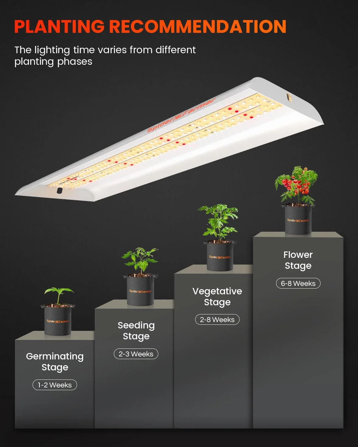 SPIDER FARMER SF300 Lampada da coltivazione per piante indoor Spettro solare Completo per Germinazione Vegetativo Fioritura Idroponica con 192 LED