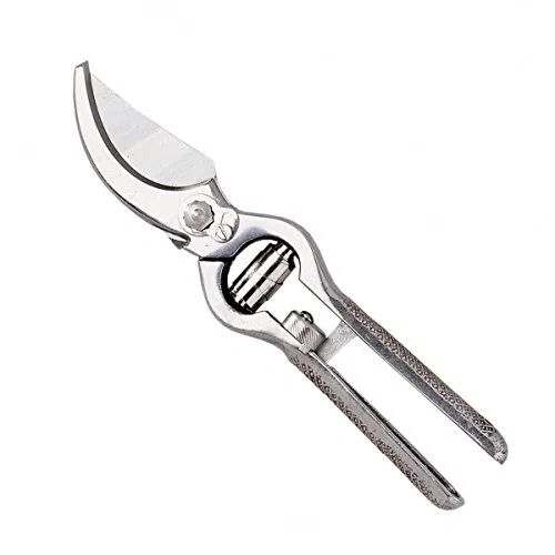 Ausonia - 31172 Forbice da vigna forbice per potatura forgiata inox cm 23