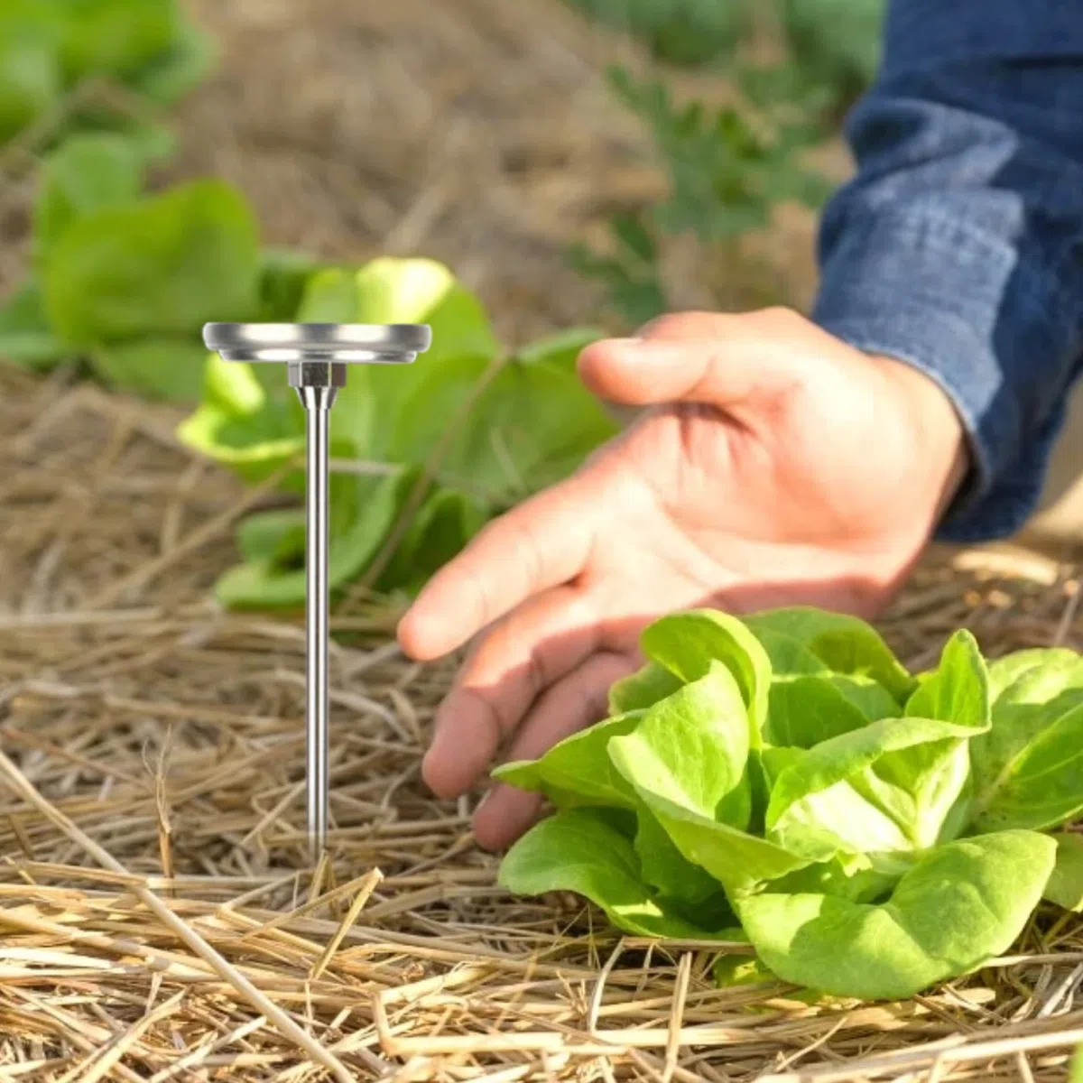 Termometro per Compost, termometro per Terreno in Acciaio Inossidabile con quadrante da 2 Pollici e Stelo da 20 Pollici Portatile per Terreno, Compost, Giardino