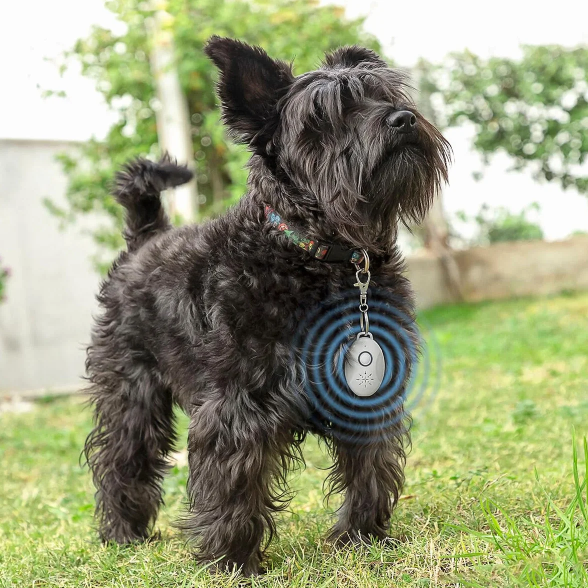 Repellente Anti-parassiti a Ultrasuoni Portatile, Ricaricabile USB, portata 3 m, senza Prodotti Chimici, Protezione da Pulci, Zecche e Zanzare, per Animali Domestici Cani e Gatti, Anti-Zanzare - 1