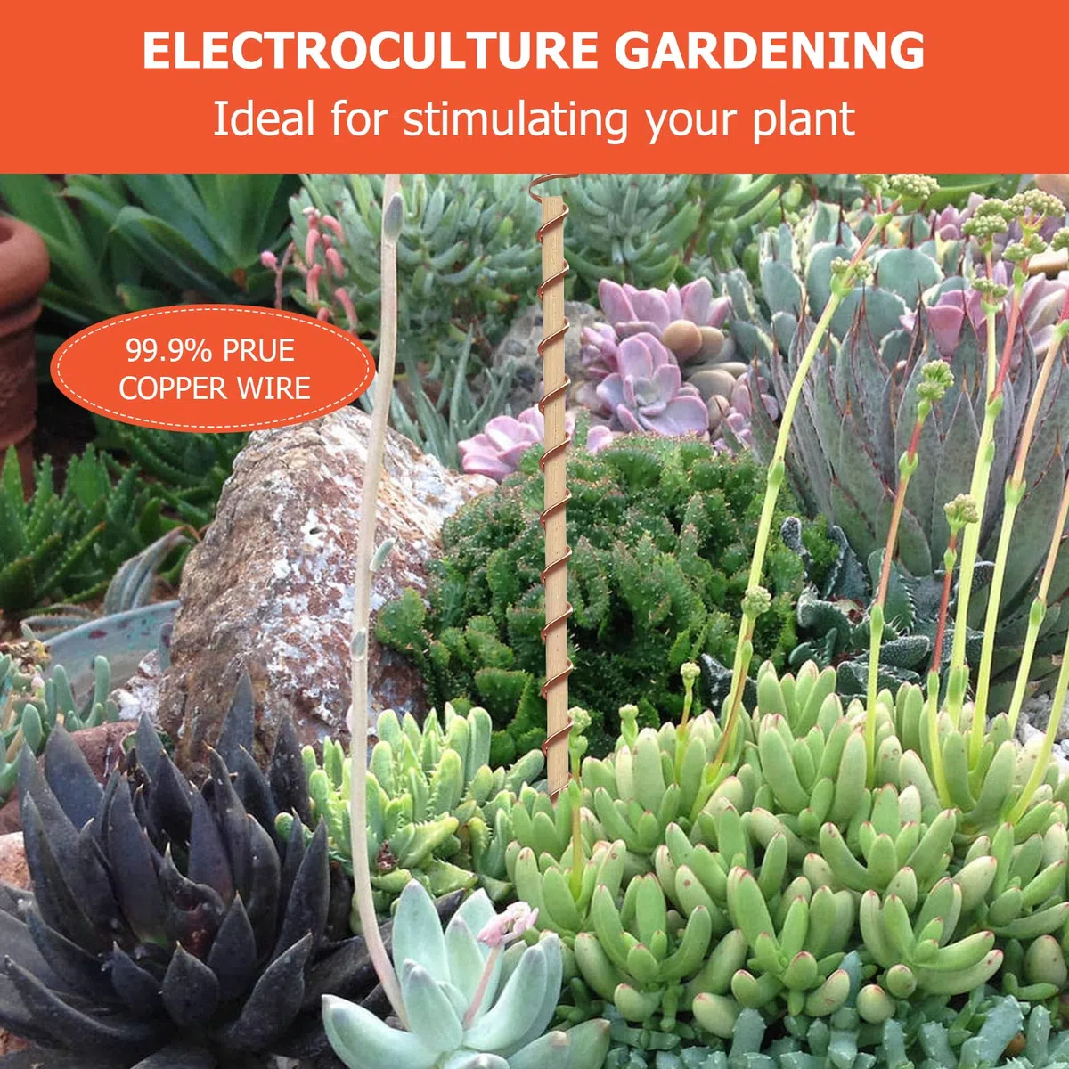 100m Electroculture Giardinaggio Filo di Rame, Filo Rame Puro per Giardinaggio, Coltivazione di Piante e Ortaggi