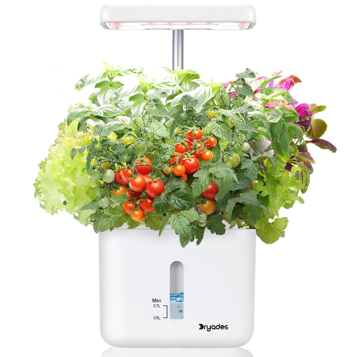 Fioriera da giardino per interni sistemi di coltivazione per piante da pavimento, piccolo sistema di giardinaggio intelligente con luce LED di crescita da 17 W, timer automatico, vaso di irrigazione