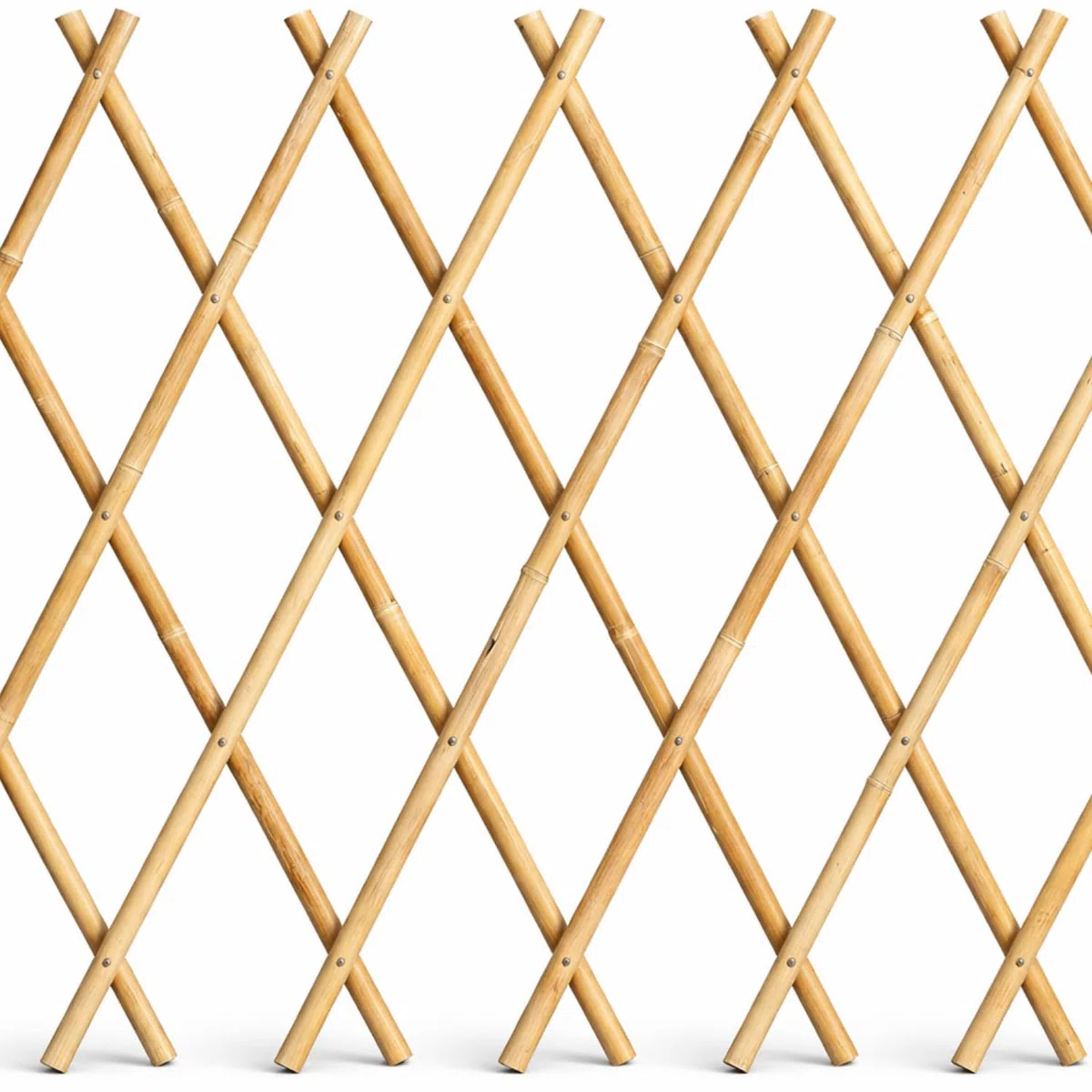 Virsus 1 Traliccio Estensibile in Bamboo Naturale 3966, Diametro 12-14 mm, per Sostegno a Muro di Fiori e pianti rampicanti, per Decorazione Esterni Pannello Recinzione Giardino, terrazzo (180x120 cm)