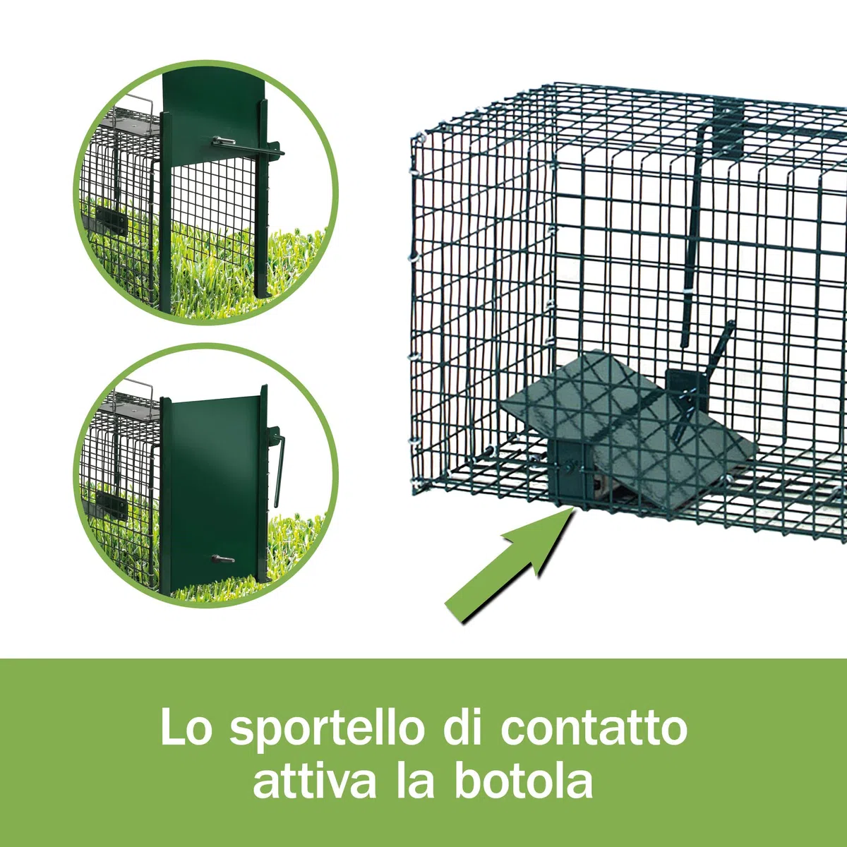 Moorland Trappola stabile e robusta animali vivi 60x23x23cm efficace Safe 5001