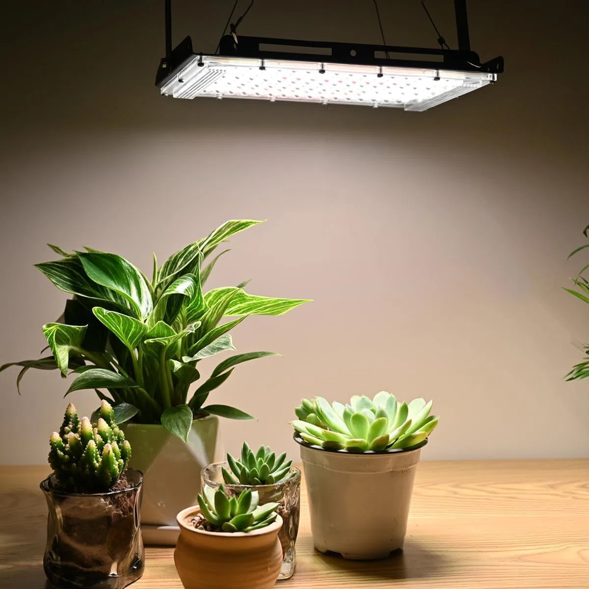 FANHAO Lampada per Piante a LED,Lampada per Piante a Spettro Completo da 400W per Piante da Interno con Telecomando,Timer 4/8/12H, 4 Luminosità, 3 Modalità per Fioritura Delle Piante da Interno