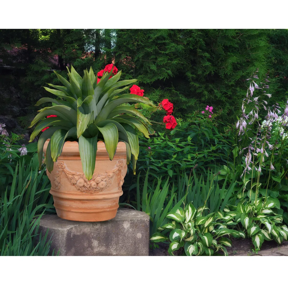 Biscottini Vaso in terracotta Toscana 40x40x30 cm (48 Litri) - Vasi terracotta grandi da esterno e interno - Vaso da esterno grande Made in Italy