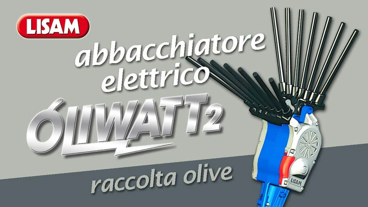 Abbacchiatore PETTINE SCUOTITORE elettrico LISAM OLIWATT 2 motore senza spazzole RACCOLTA OLIVE made in italy AMDGarden