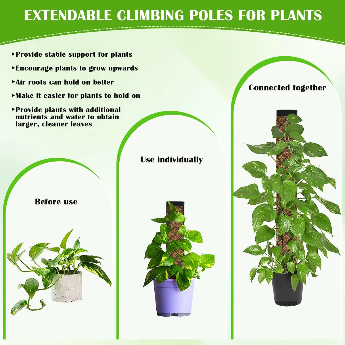 Pali di Muschio di Plastica Sfagno per Palo Moss Pole Muschio Bastoncini per Pianteimpilabili in Plastica con Piante Supporto per l'irrigazione Fascette, Bastone Muschio Autoirrigante, Nero