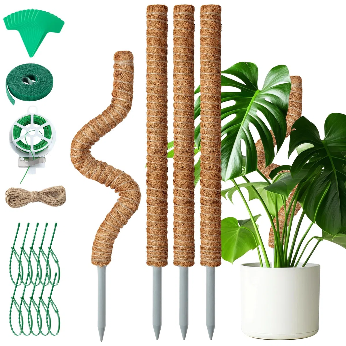 Mactoou 4 Pezzi Bastone Tutore per Piante, 65cm Sostegno Piante Rampicanti, Bastone in Fibra di Cocco per Piante Pieghevoli per Casa Giardino Balcone