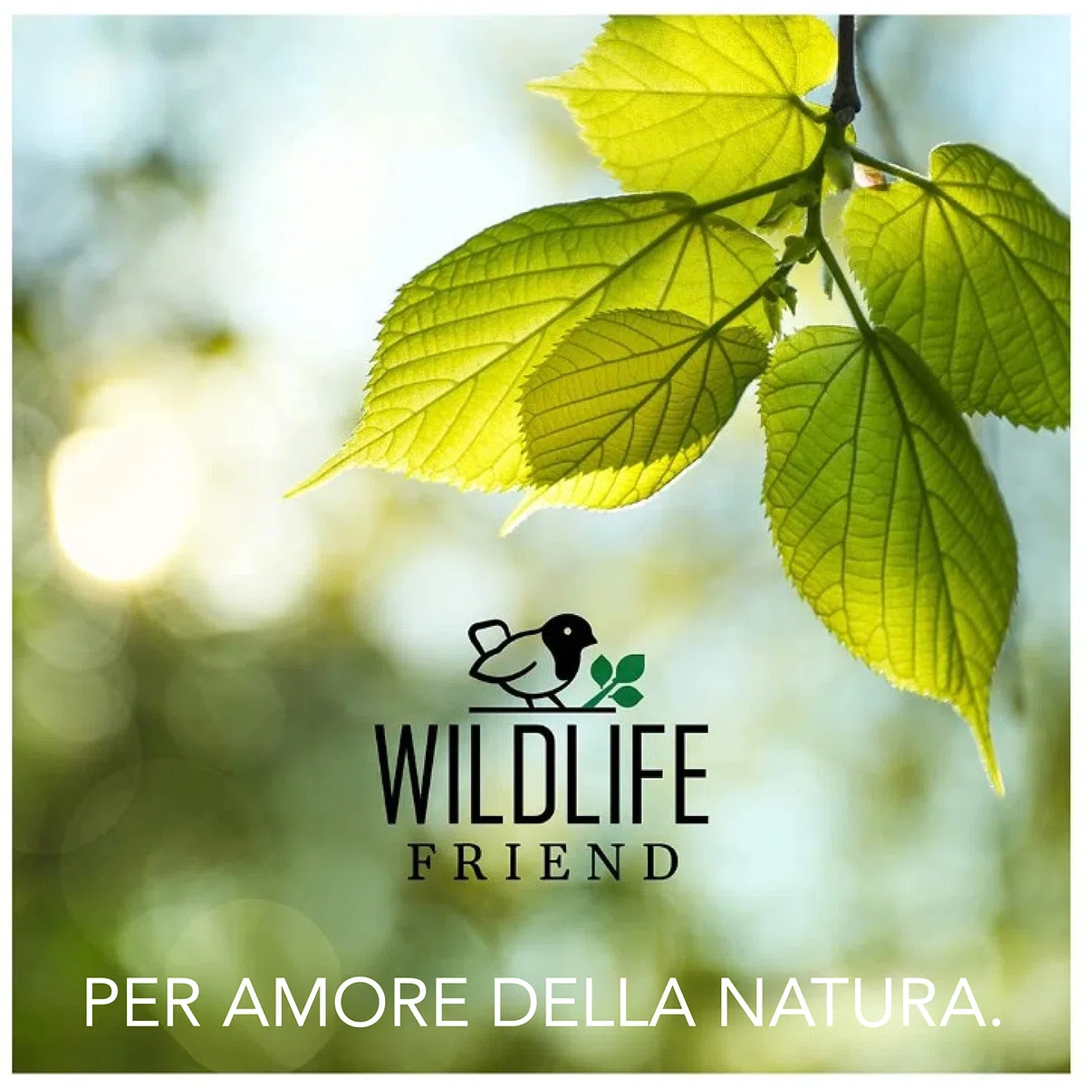 WILDLIFE FRIEND | Mangiatoia Scoiattoli- Casetta ecologica per scoiattoli, Mangiatoia Scoiattoli da esterno con Finestra in Plexiglass, Resistente alle Intemperie - in Legno di Pino e Tetto in Zinco