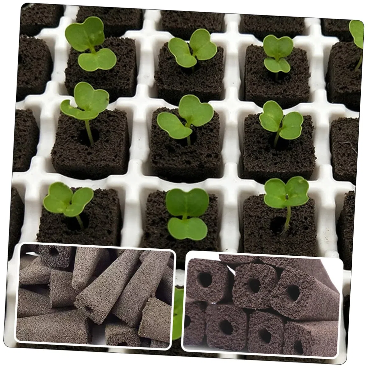 BESPORTBLE 100pezzi Nutrienti per Coltivazione per Giardinaggio Balcone e Vasi Ottimale per Semi e Idroponiche