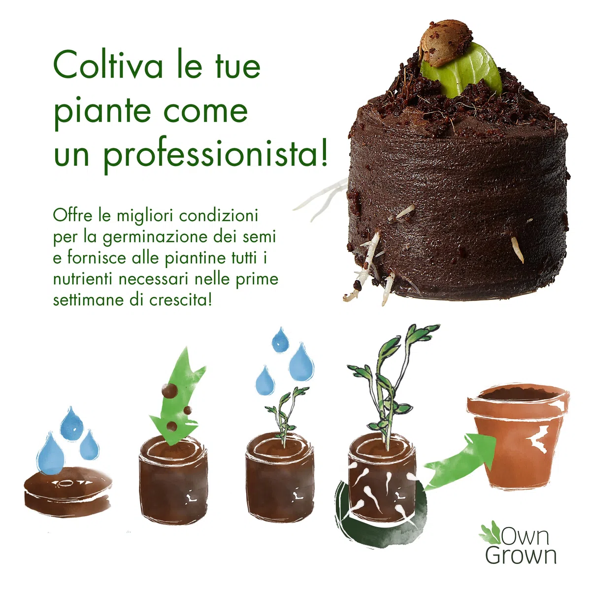 OwnGrown Coco Coir Seed Compost Pellet: 125 Pellet di Cocco per Semi e Terriccio Universale - Compost Senza Torba per Piantine, Orto e Piante Grasse - Vasetti per Piantine e Terriccio per Giardinaggio