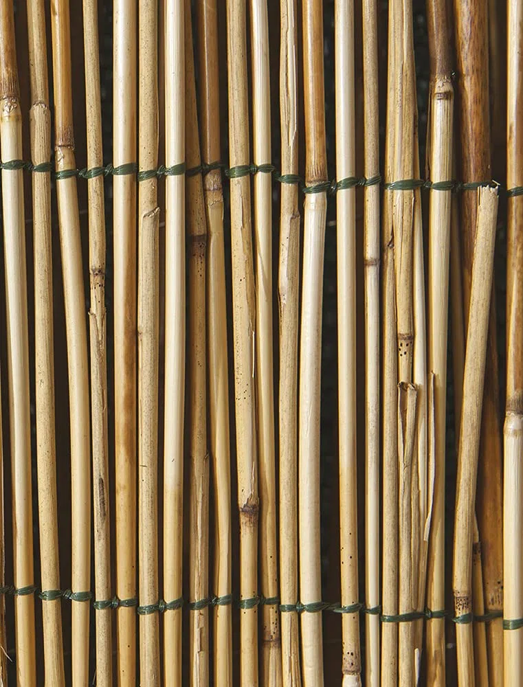 VERDELOOK | Arella Cina in Cannette Bamboo Pelato, 1.5x5 m, bambù per Recinzioni e Decorazioni, Copertura Recinzioni