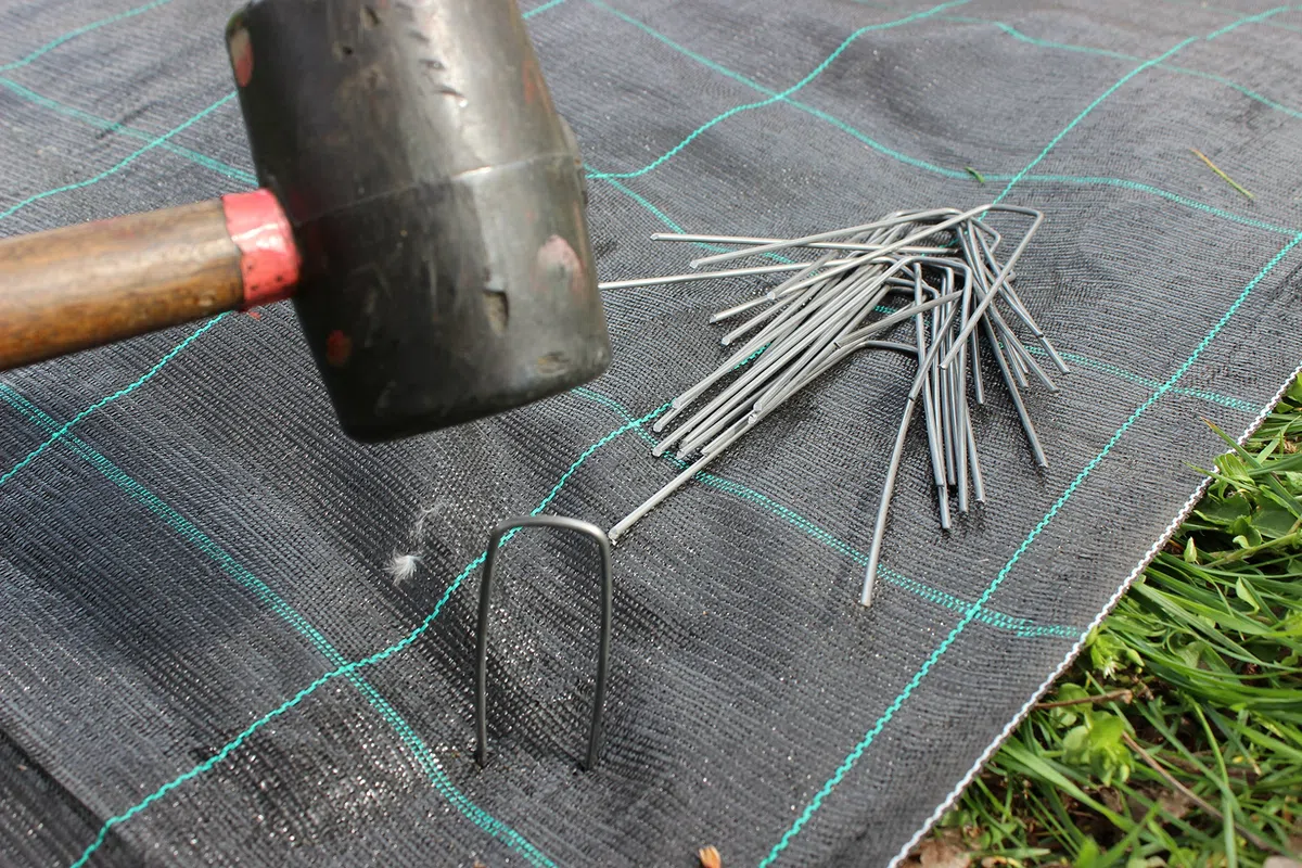 Telo pacciamatura nero quadrettato verde in polipropilene antistrappo rotolo 100mt (1,05 mt)