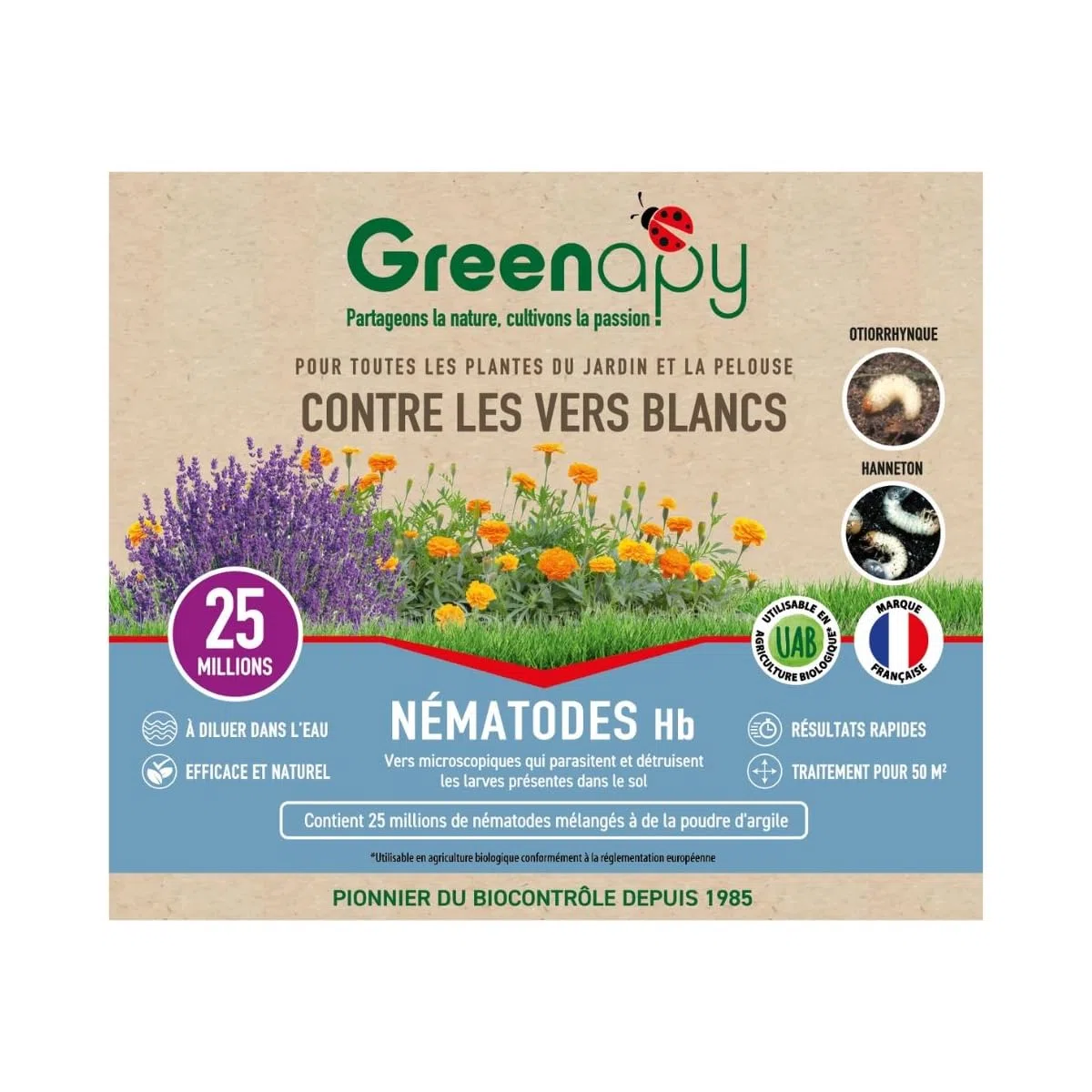 Nematodi Hb - Anti-vermi bianchi, anti-oziorinco, 25 milioni, Polvere