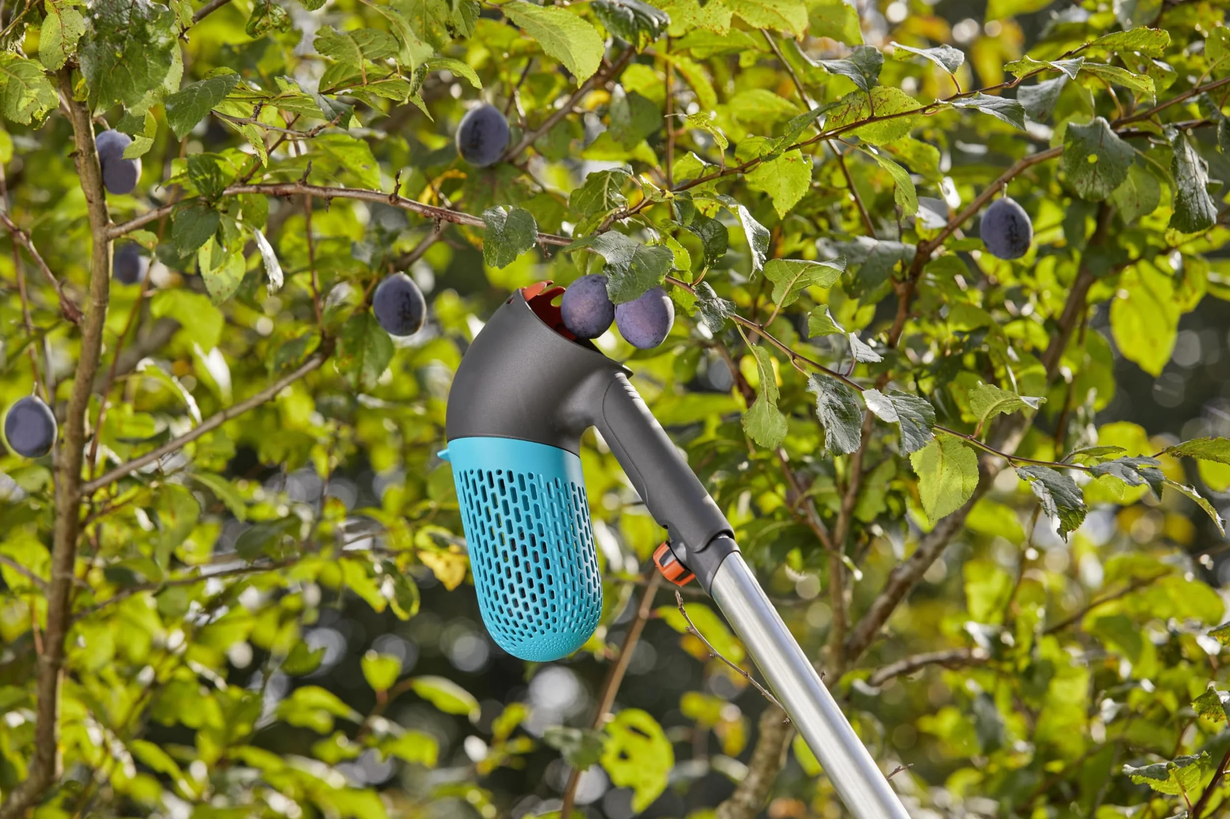 Gardena Raccogli-frutti di bosco combisystem: ausilio per il raccolto con cesto integrato, accessorio girevole per frutti di bosco o frutta, impugnatura integrata, piedini da appoggio (17400-20)
