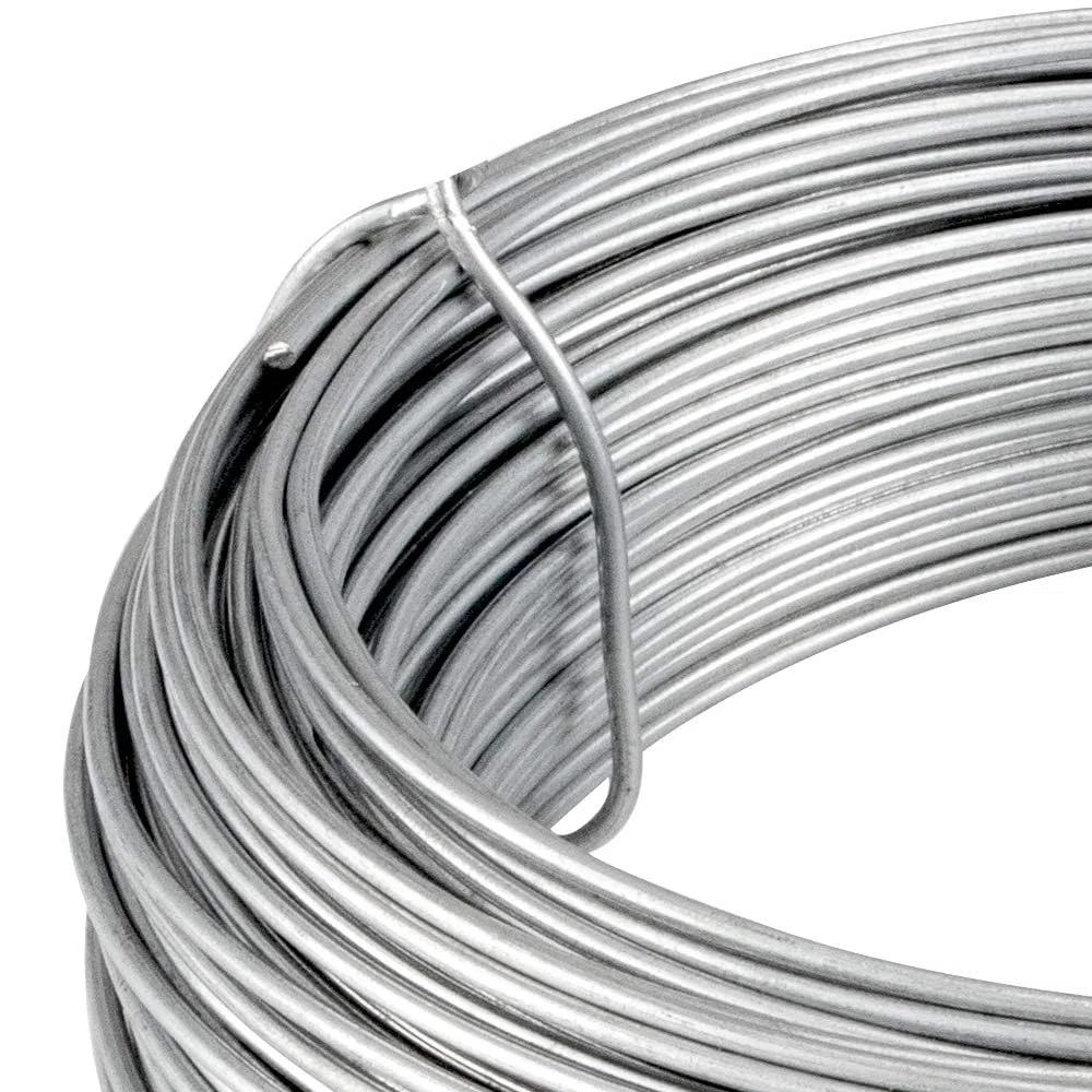 Amagabeli Garden Home Filo di ferro da giardino zincato, 2,2 mm, peso 5 kg, filo di tensione rotolo di filo di ferro metallico rivestito per recinzione WR2 DA098