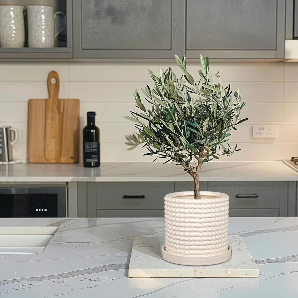 Oairse Vaso per piante in ceramica, 15 cm + 11 cm, con fori di drenaggio, vasi da fiori bianchi, design con perline, vasi decorativi per interni, per cactus, serpente, pianta d'appartamento