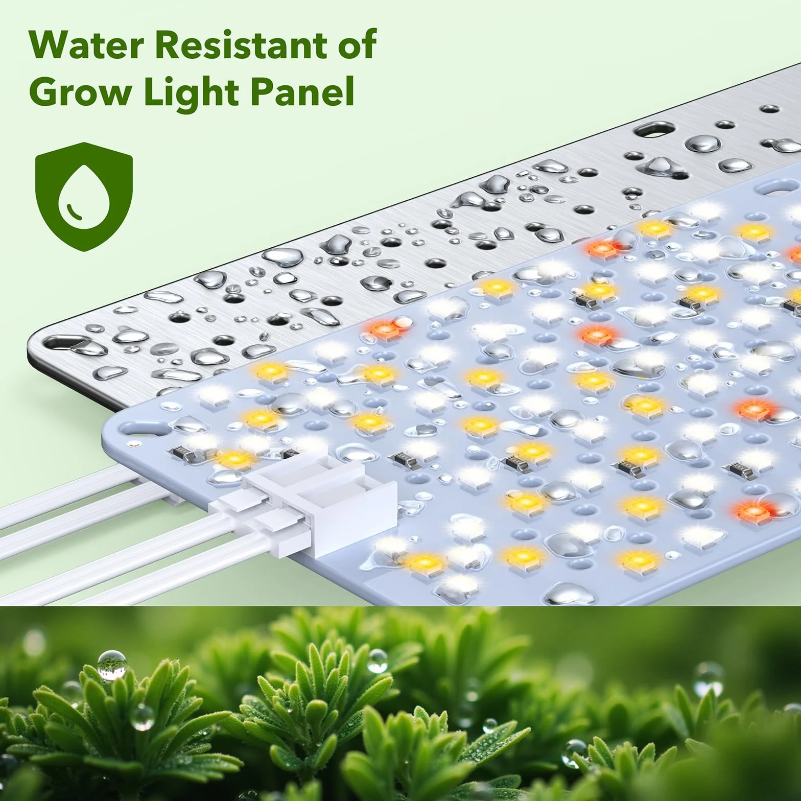 Confezione da 2 Lampade LED per Piante, Luce per Piante a Spettro Completo per Interni, Pannello Grow Light con Timer Automatico 4/8/12H, Lampada Crescita per Germinazione, Vegetativa e Fioritura