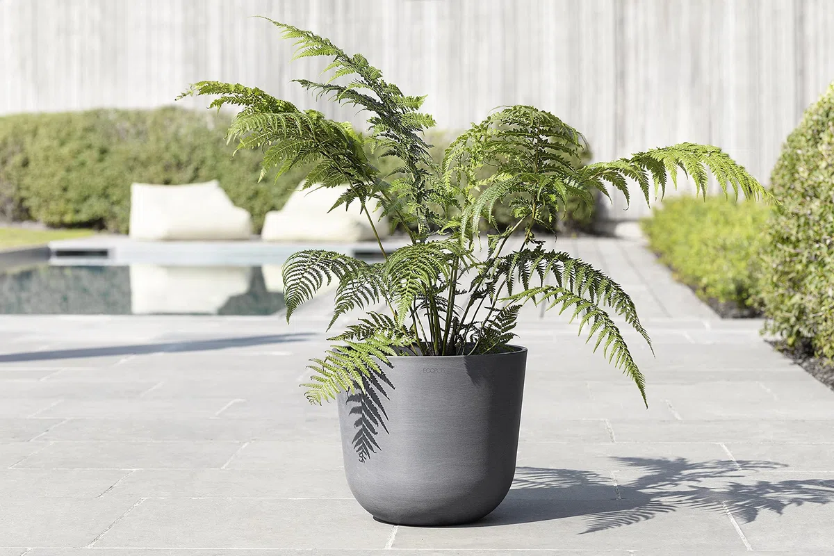 ECOPOTS Ashortwalk Vaso per piante in plastica riciclata, diametro 55 cm x altezza 47,9 cm, colore: grigio