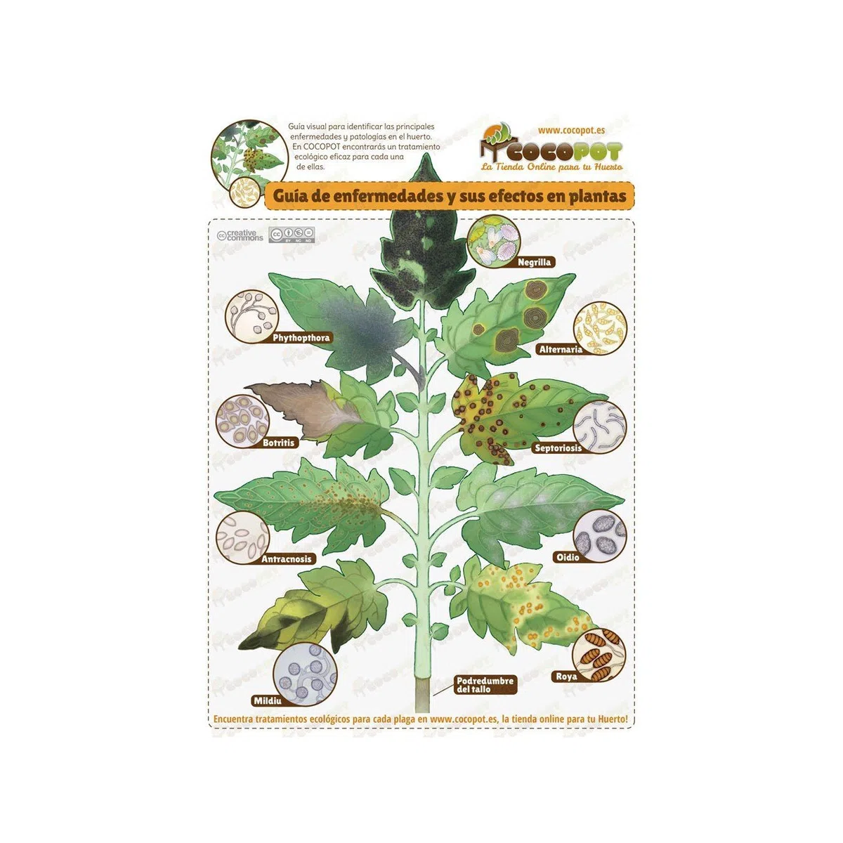 Trabe ProNeem Farina di Neem en Polvere BIO (450g)
