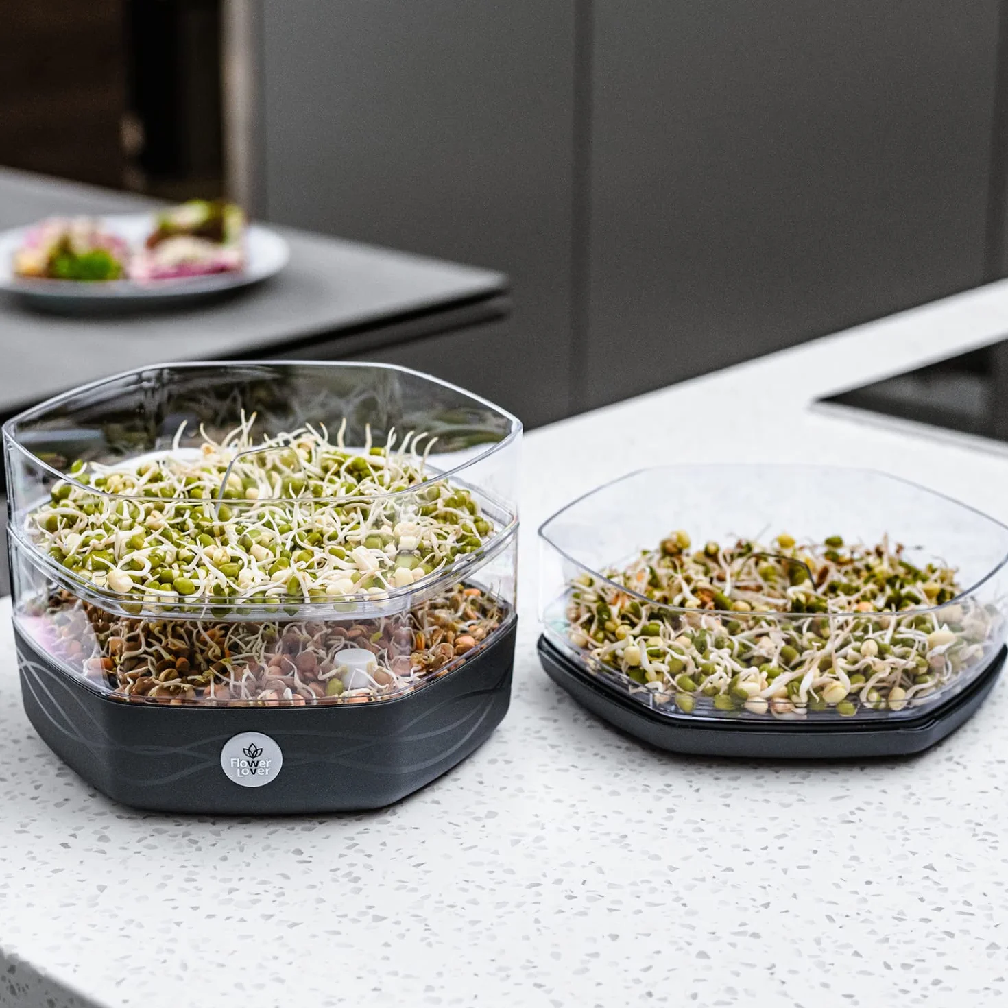 Germogliatore per Semi Alimentari con 3 livelli ø17 cm - Germinatore per Semi, Germogli, Microgreens - Germogliatore per Semi in Plastica, Antracite
