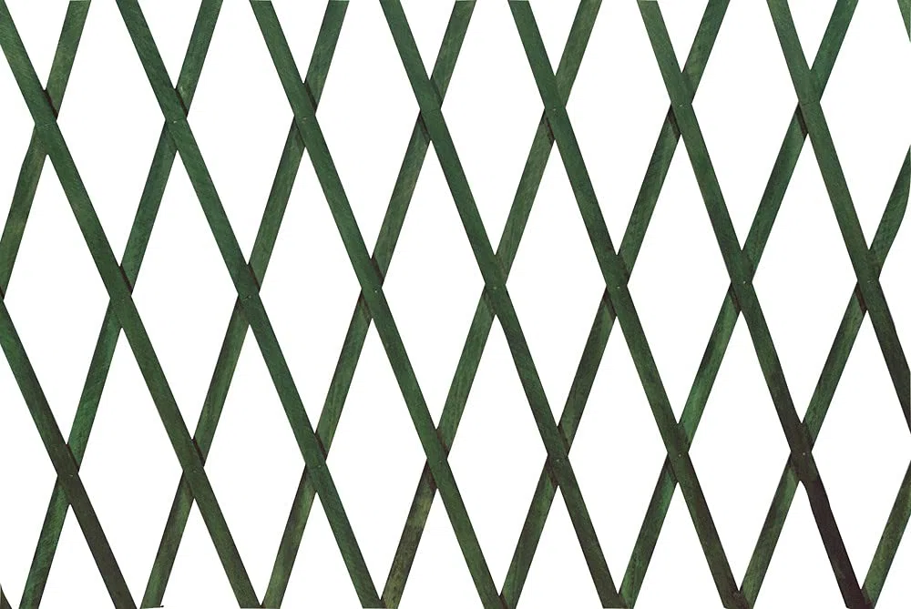 VERDELOOK | Traliccio Estensibile in Legno, 150x200 cm, Verde, Decorazioni Terrazza, Sostegno per Piante Rampicanti