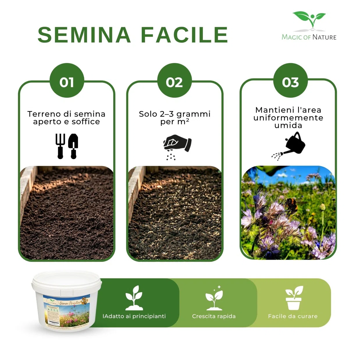 Magic of Nature: Miscela di Semi di fiori - Paradiso delle Api 1 kg | Facile da usare - Pascolo per api in fiore - Consigli per la semina - Per 300-500 m²
