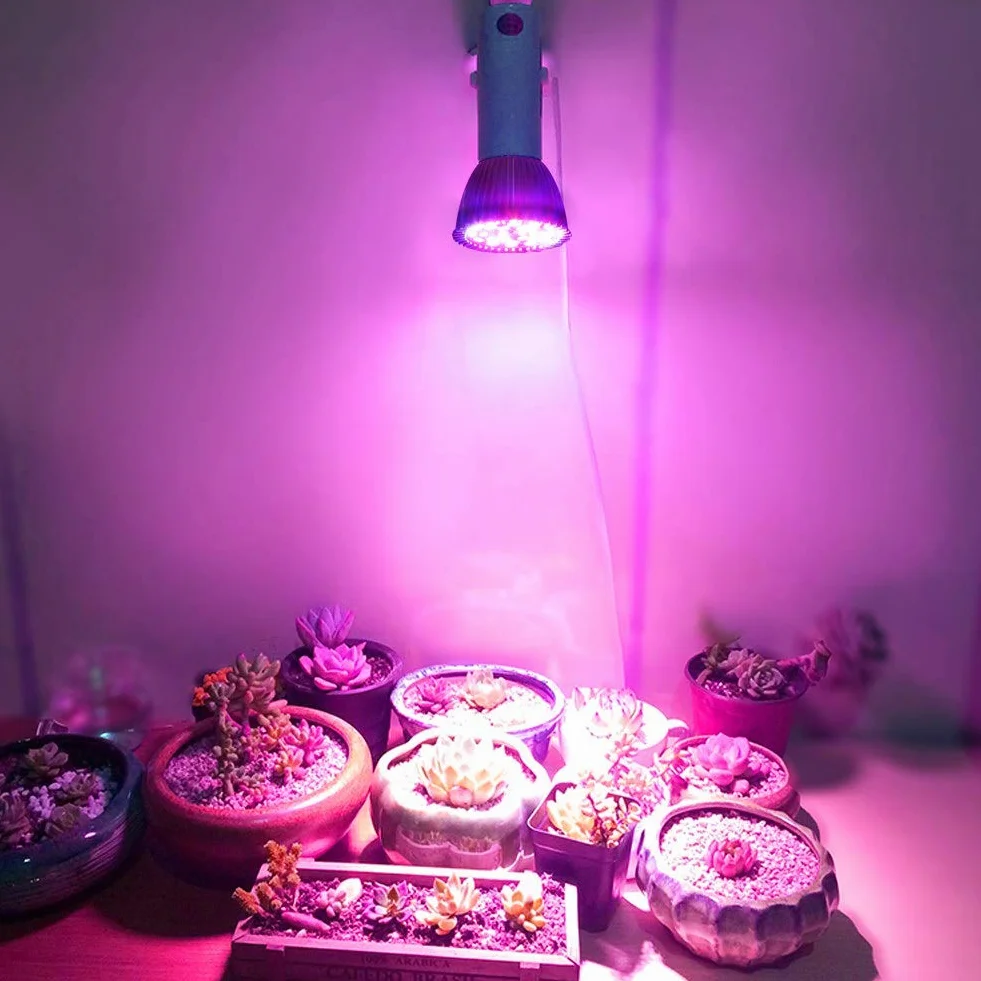 Zerodis LED Coltiva la lampada, 5W E27 Pannello ad Alta Potenza Spettro Completo 28 LED Lampada per Coltivazione Indoor Coltiva la lampadina per Serra Pianta Pianta in Vaso fiori