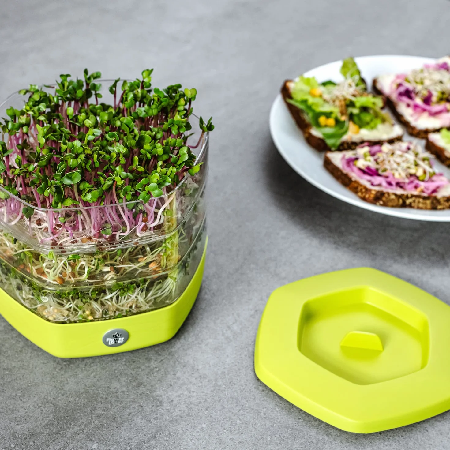 Germogliatore per Semi Alimentari con 3 livelli ø17 cm - Germinatore per Semi, Germogli, Microgreens - Germogliatore per Semi in Plastica, Grigio