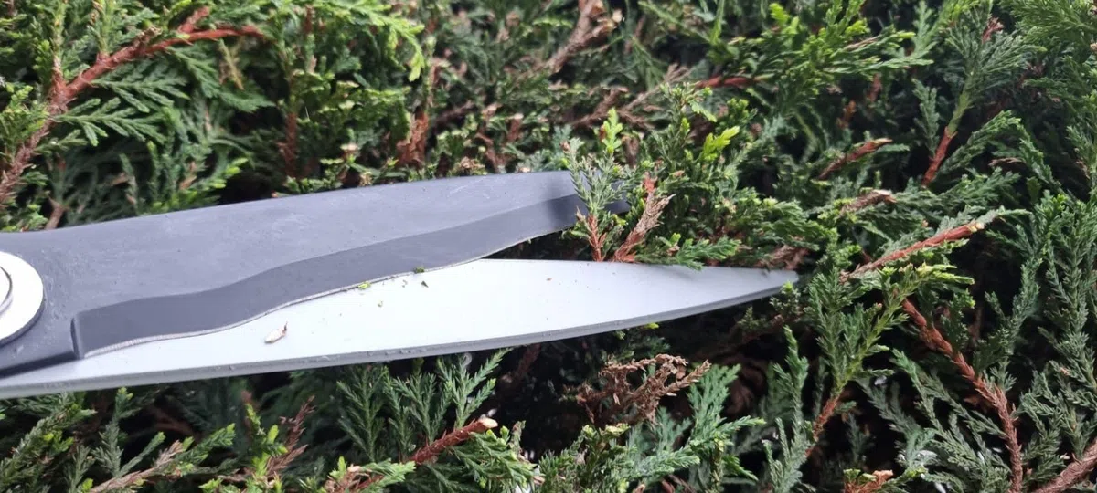 Cesoie da giardino Kimura Pro, cesoie per siepi di alta qualità, manici in alluminio leggero, lame affilate giapponesi SK5, tecnologia brevettata, acciaio antiruggine, giardinaggio - 560 mm