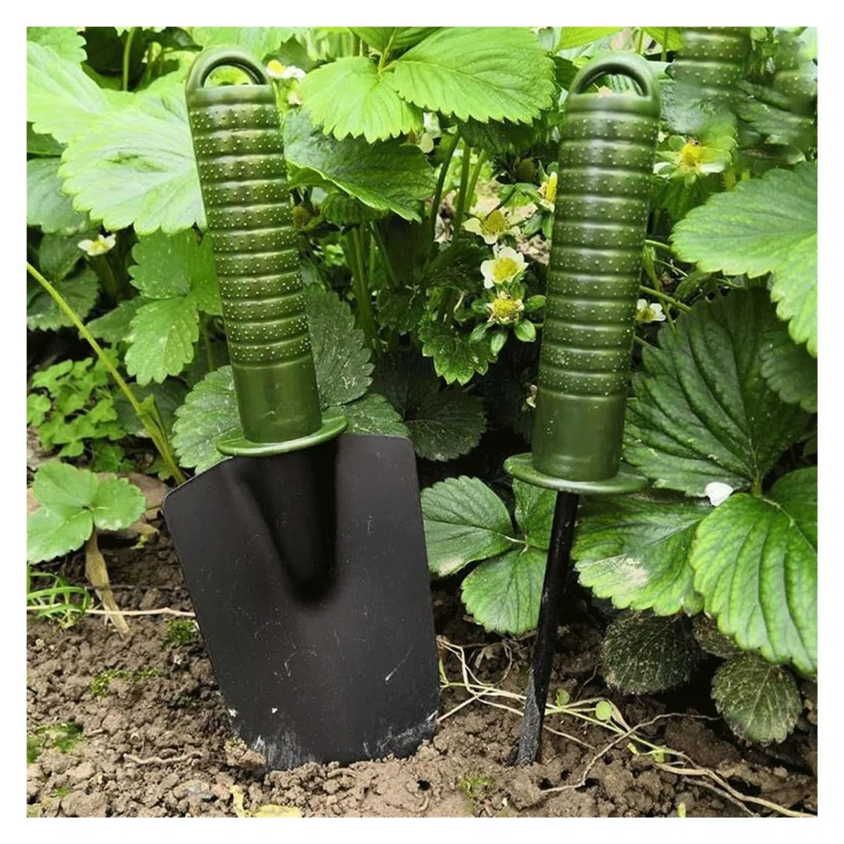 Attrezzi da giardinaggio, attrezzi per trapianto di piante 4 pezzi attrezzi per piante grasse, mini attrezzi da giardino, annaffiatoio per piante grasse come accessori per piante, kit di attrezzi m