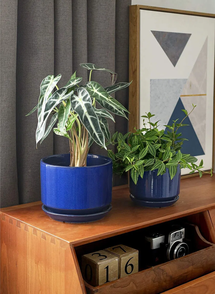 LE TAUCI Set da 3 Vaso in Ceramica per Piante, 11+13+17 cm di Diametro Vaso per Piante da Interno, Vasi Piccoli con Sottovaso e Foro di Drenaggio, Regali per la Mamma, Blu Zaffiro