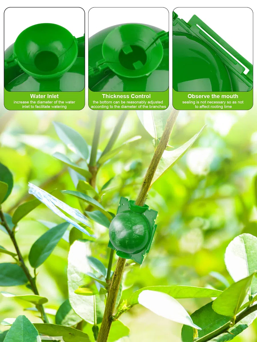 Kalolary Scatola Coltivazione Radici Piante 12 Pezzi Dispositivo Radicazione Piante Scatola Radicatori Sfera Propagazione ad Alta Pressione Innesto Radice Botanica Controller Piante(Piccolo)