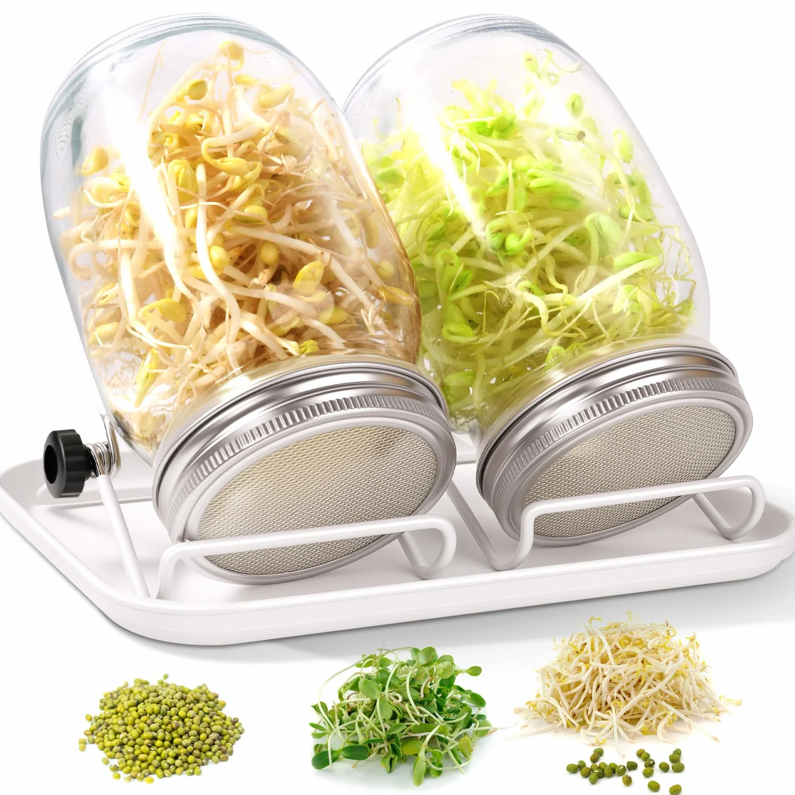 FoiiLiio Barattolo Germogliatore Set, 2 x 1000ml Germogliatore in Vetro, 2 Coperture, 2 Supporti e 1 Bianco Vassoio, Kit di Barattoli per Germogliamento di Semi per Broccoli Germ
