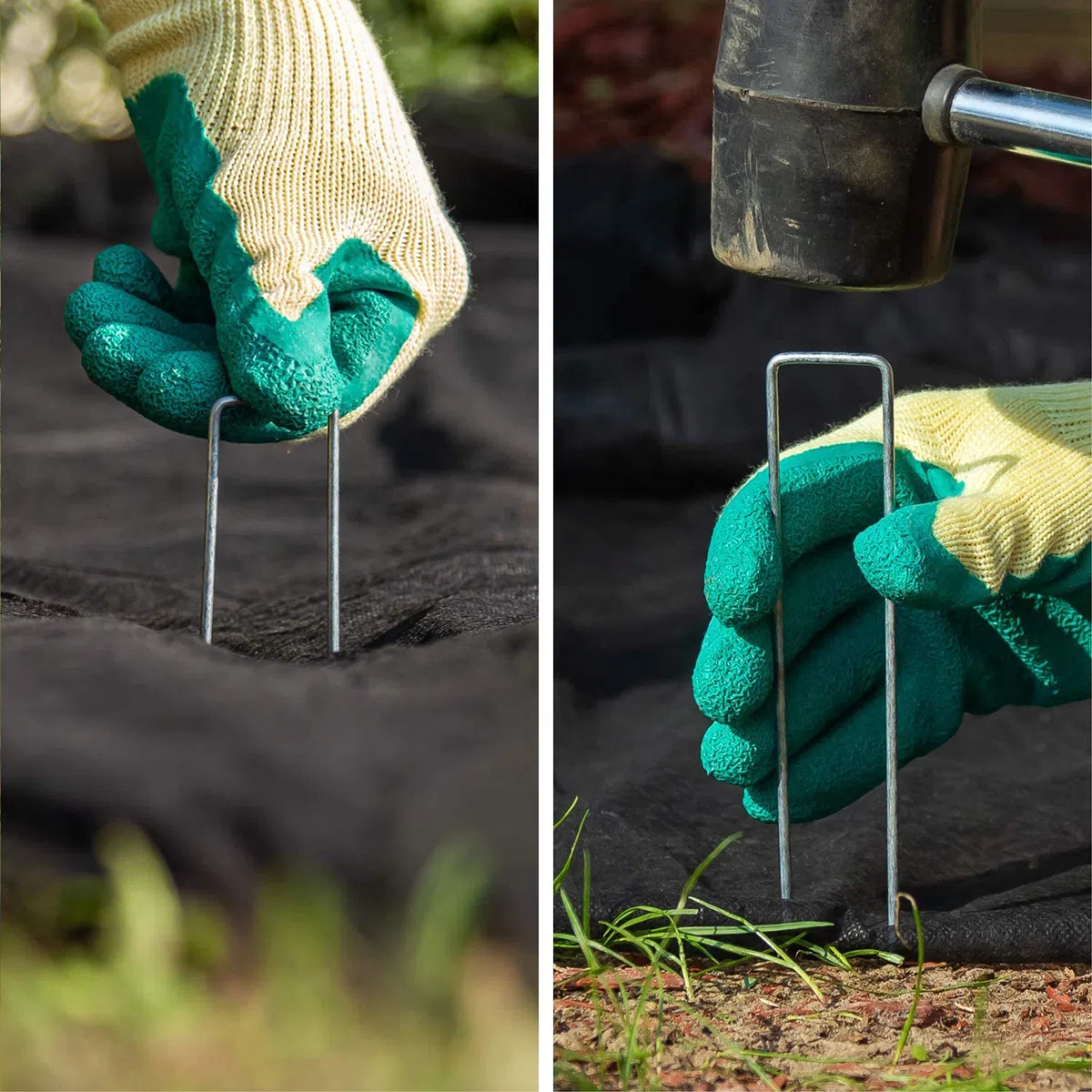COM-FOUR®100x Ancoraggi a terra in acciaio rivestito - robusti picchetti per il fissaggio di veli e tende - ancoraggi a terra per giardino e campeggio (100 pezzi - 200x25x3.8mm)