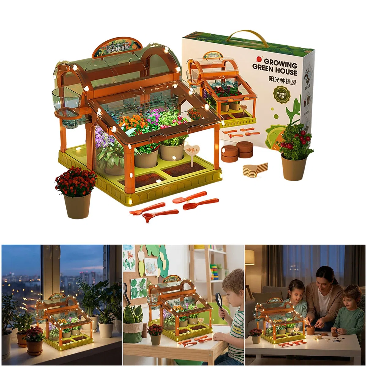 Set da giardinaggio per bambini con illuminazione a LED integrata in acrilico trasparente piccola serra per piantare casa divertente serra educativa