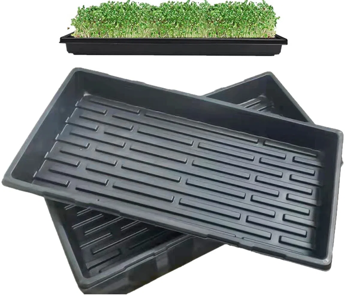 10 nero vassoi per coltivazione senza fori di scarico 54x28cm perfetti per piantine giardinaggio al coperto microverdi grano e altro terreno o idroponico