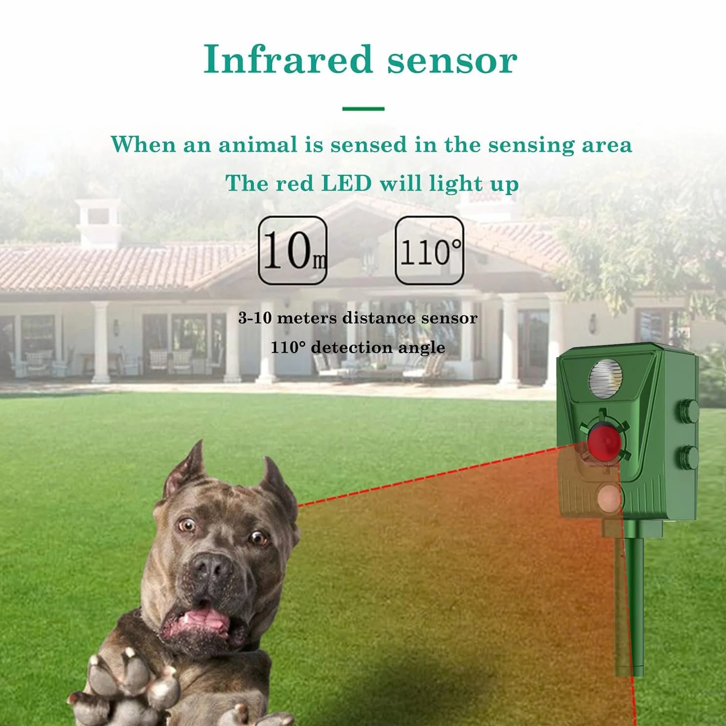 Repellente per Gatti, Dissuasori per Piccioni, 2025 Nuovo Ultrasuoni Solare Repellente Gatti Repeller per Piccioni,Uccelli,Cani,Topi,Volpi, Ultrasound per Animali