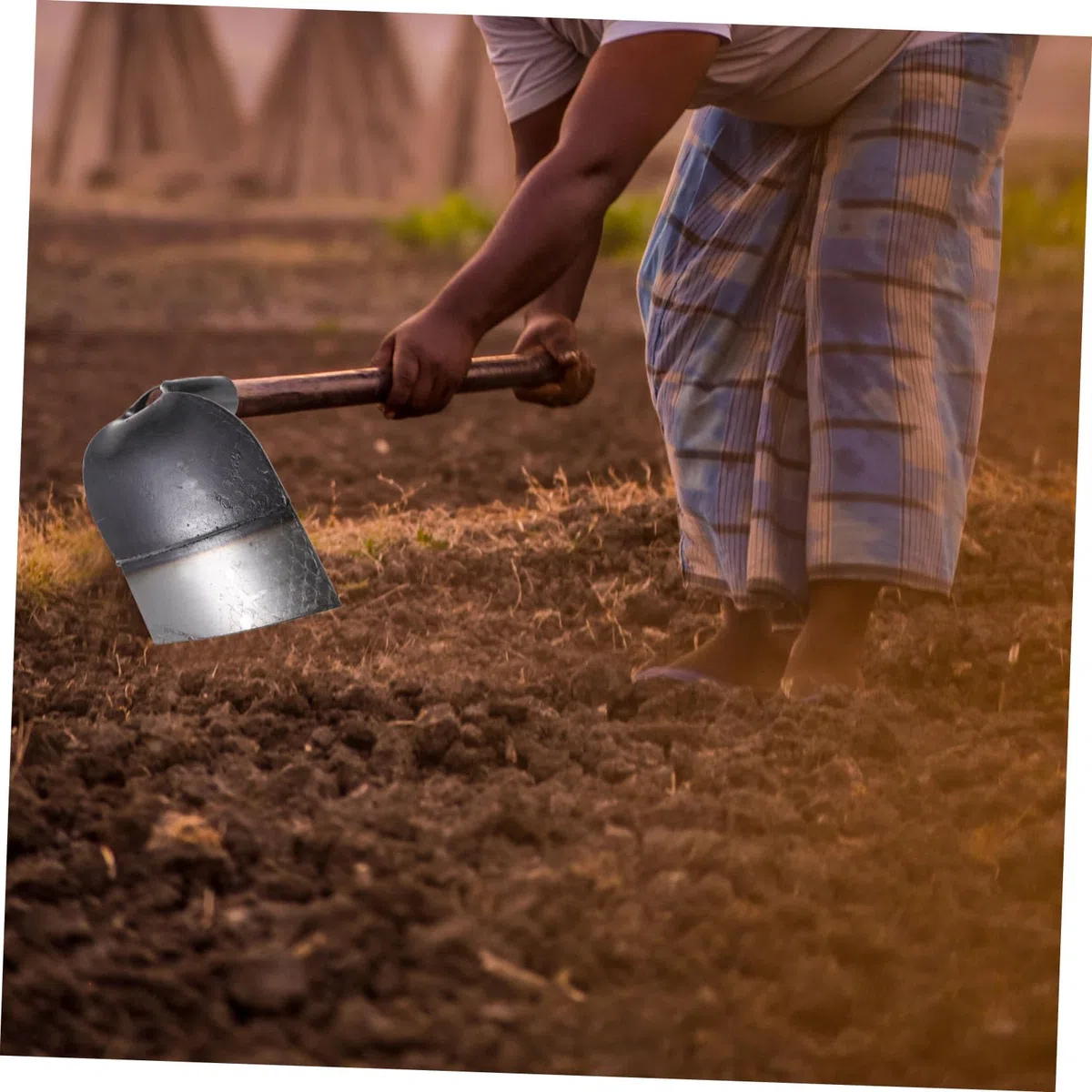 Zappetta in Acciaio Inossidabile per Diserbo e Lavoro del Terreno Strumento Agricolo Resistente per Orto e Giardino Facile da Usare per Rimuovere Erbacce e Ammorbidire