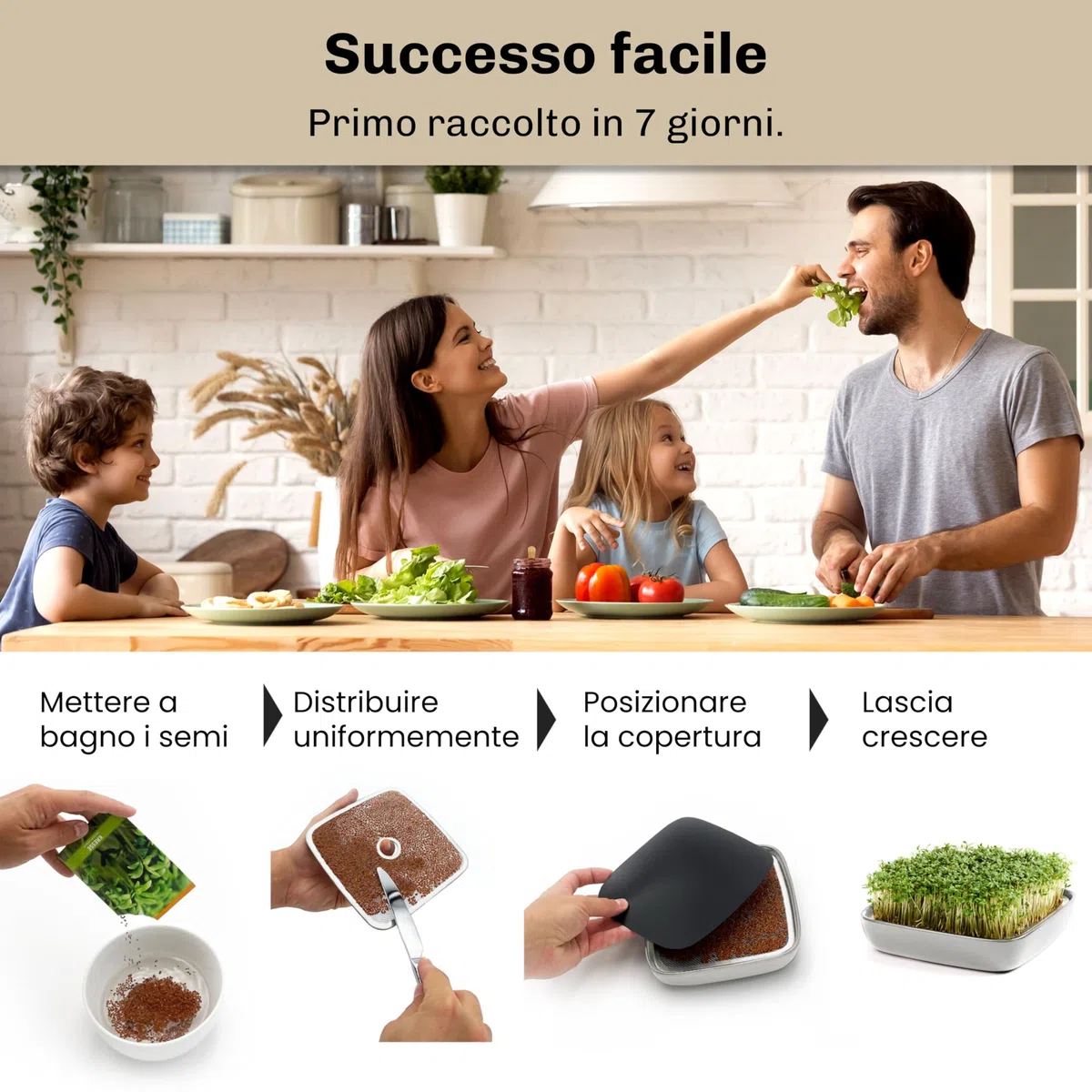Otaro Germogliatore con Semi di crescione | Microgreens | Idroponica Kit Completo - Pronto all’Uso | Germogliatore per Semi | Semenzaio Elegante | (Grigio - Set Premium in Ceramica)