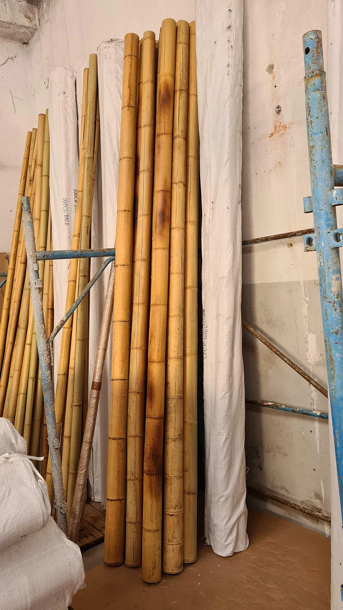Canna di Bambù Gigante MOSO (CM 300 Ø 4/6) - SECONDA SCELTA - Bastone Naturale Decorativo per Arredo Casa, Giardino, Recinzione, Fai-da-Te e Design Outdoor Indoor