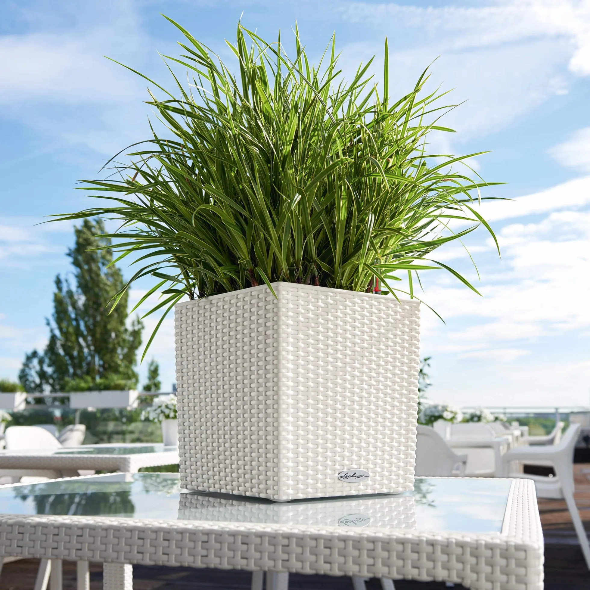 LECHUZA CUBE Cottage 30 bianco 15376