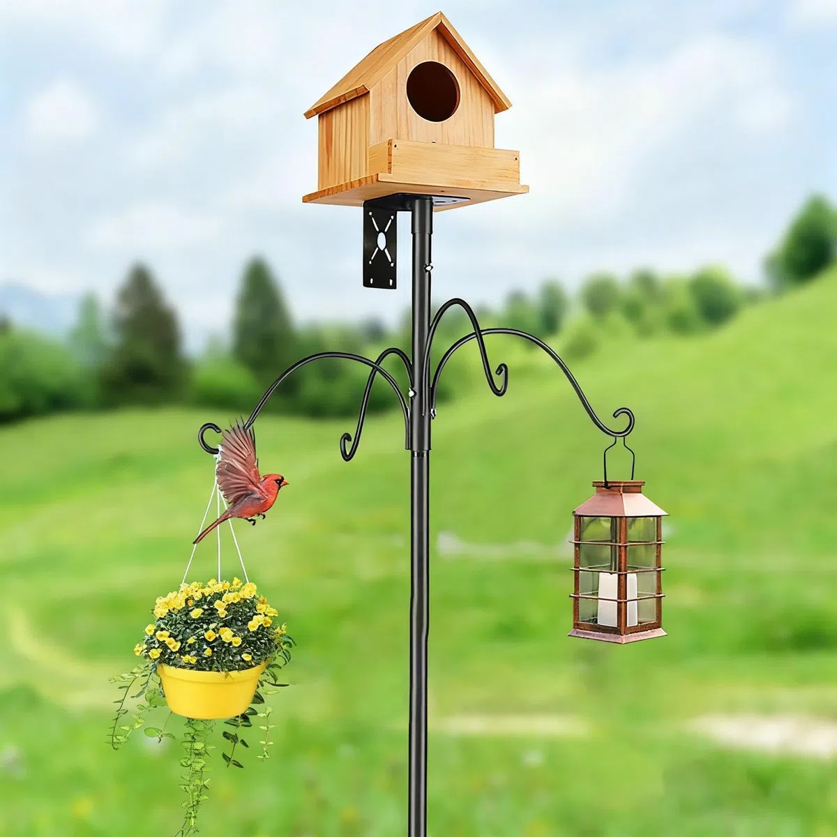 regolabile per casetta di casetta – Kit di montaggio da 76 pollici robusto supporto di nidificazione per colibrì | Ideale per esterni prato giardino pianta protezione dagli scoiattoli Stazione